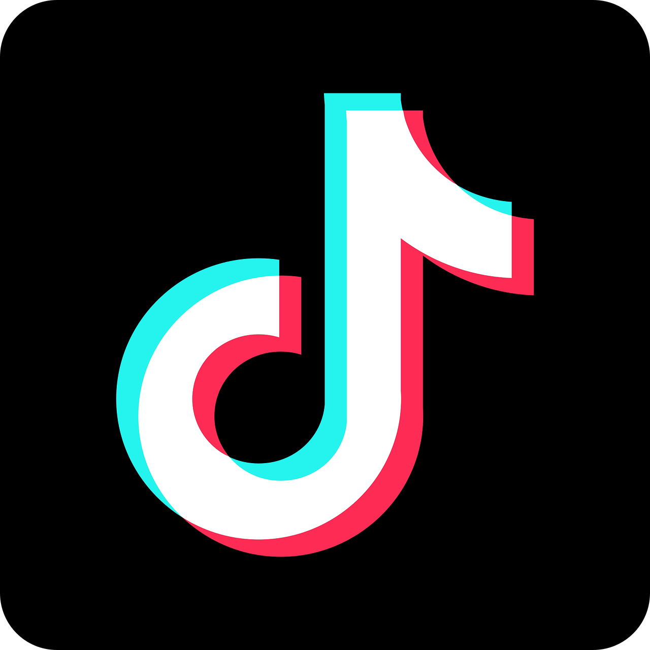 vamox.app tiktok